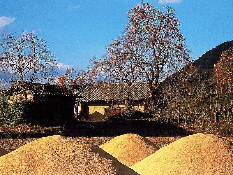 Misato Hotel Azumino Kültér fotó